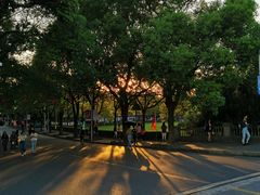 -华东政法大学(松江校区)