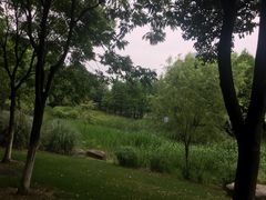 -尚贤河湿地