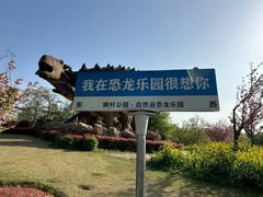 -顾村公园