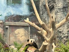 -石排湾郊野公园