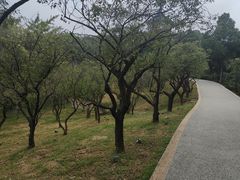 -无锡梅园公园