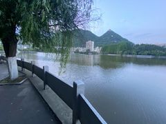 -凤池园