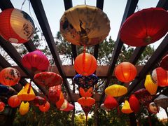 -深圳国际园林花卉博览园