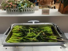 -龙达温泉生态城