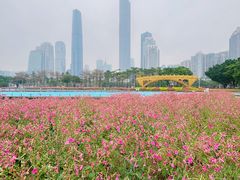 -海心沙亚运公园