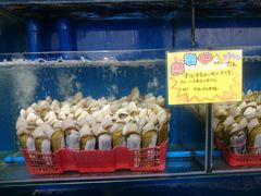 水产区-蚝专家(北滘店)