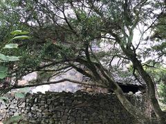 -许家山