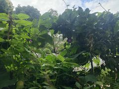 -鲍旭私房菜(兴苑路店)