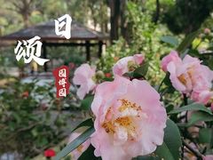 -深圳国际园林花卉博览园