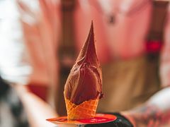 -野人先生现做冰淇淋(北京王府井东方新天地店)