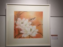 -【朵云轩艺术中心】博洛尼亚插画展·中国巡展·上海站