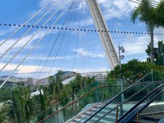 -星巴克(三亚海棠湾国际免税城店)