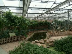 android_upload_pic-上海都市菜园