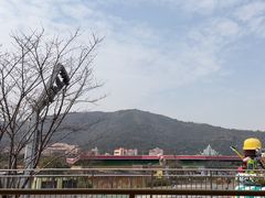 -无锡动物园·太湖欢乐园