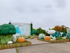 景点-上海都市菜园