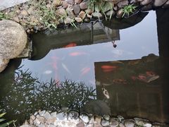 -随园食单·好食材做老味道