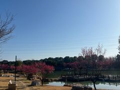 -嬉乐湾休闲旅游区