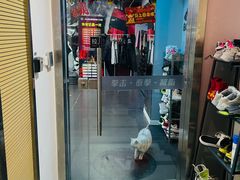 -M.S拳击泰拳馆(大学路店)