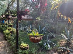 -北海金海湾红树林生态旅游区