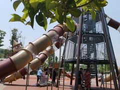 -枫香湖儿童公园