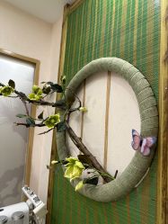 -芳朵美容养生SPA