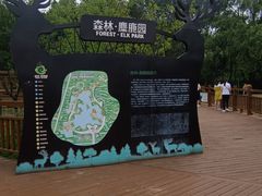 -日照海滨国家森林公园