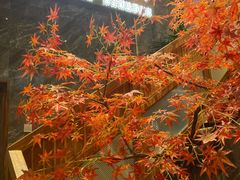 -邵汇大虾火锅(鲁迅路店)