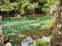 -黄山翡翠谷景区
