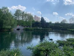 -长白岛森林公园