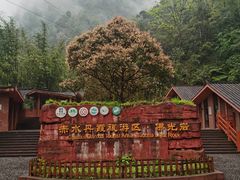 -赤水丹霞旅游区·佛光岩