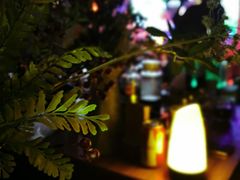 -胡桃里音乐酒馆(石家庄店)