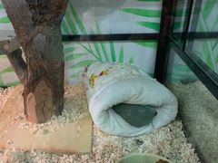 -藦茜花园宠物主题亲子互动体验馆(国顺东路店)