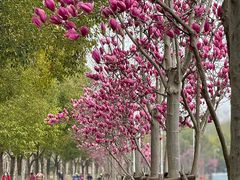 -杨高南路(地铁站)