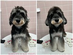 -FAELING PETS美天灵宠物(富力广场店)