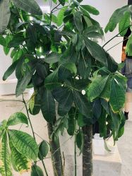 -HG美发设计沙龙