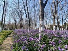 -白塘生态植物园