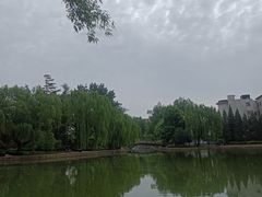 -团结湖公园