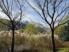 -长兴太湖图影湿地文化园