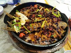 -老板恋上鱼(恒隆广场店)