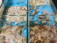 -大中华希尔顿酒店-念自助餐·嗨啤·小龙虾