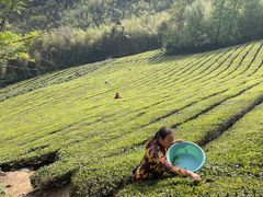 -敬亭山风景名胜区