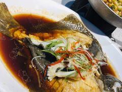 -老长春肉馆(创业大街店)