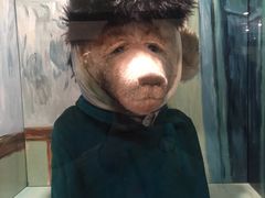 -济州岛泰迪熊博物馆