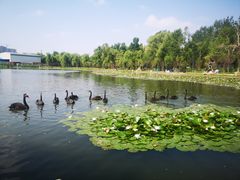 -长春市南湖公园