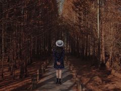 -桤木河湿地公园