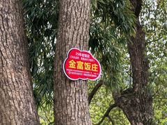 -芦茨金富饭庄·25年老字号·专做稻草鸡