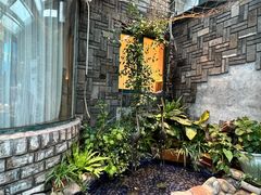 -慢丽江·云南野生菌土鸡锅(付家庄店)