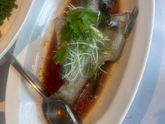 -顺峰(农展馆店)