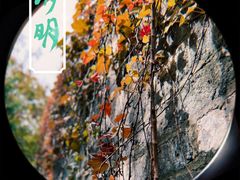 -常州明城墙
