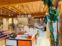 -猫的天空之城概念书店(丽江古城饮玉巷店)
